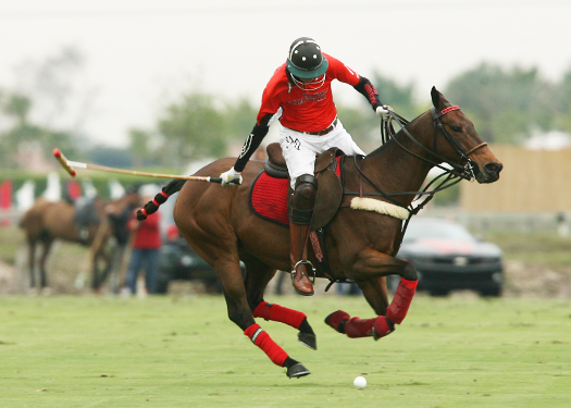 polo photos alex pacheco polo mag ipc polo club 2013 orchard hill audi polo team 6