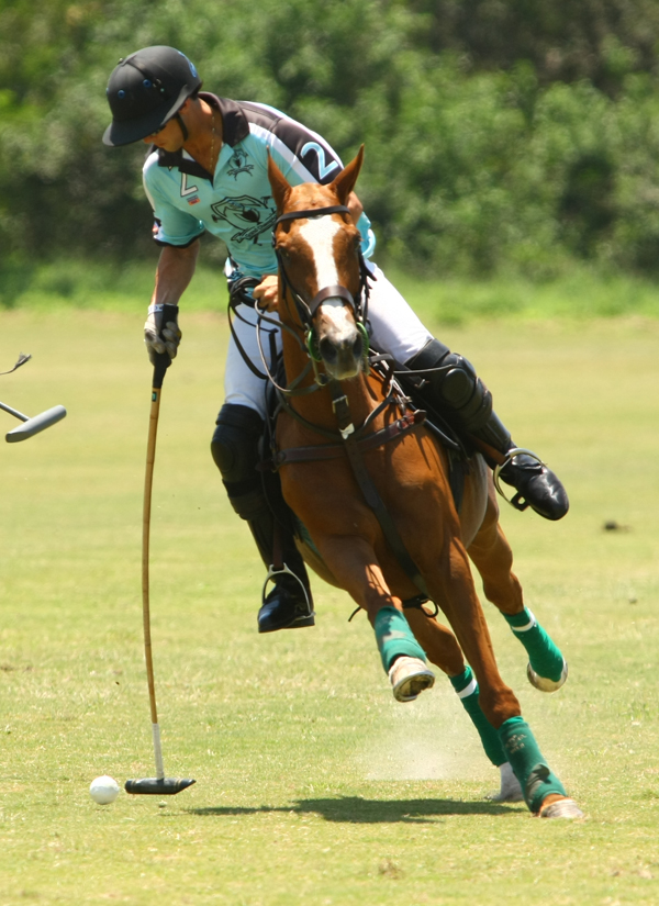 polosun 1