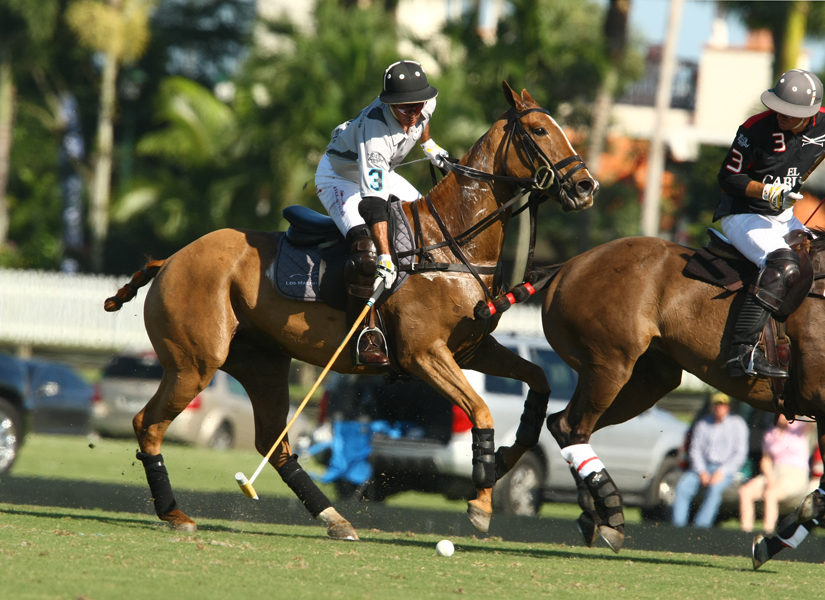 Joe Barry Memorial Cup2014polomagazinepachecopolophotos 7