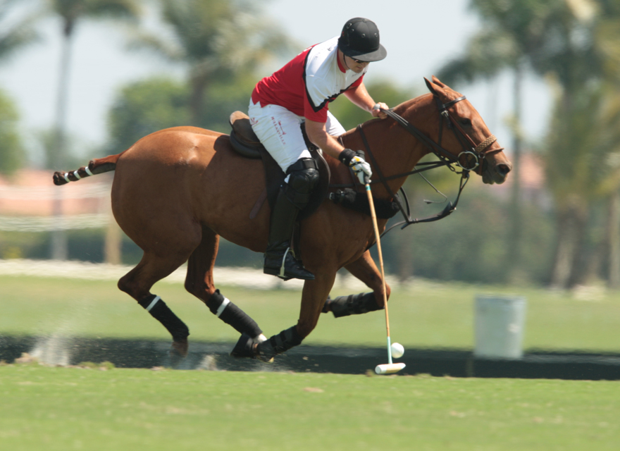  Photos-Alegria 11, Orchard Hill 10