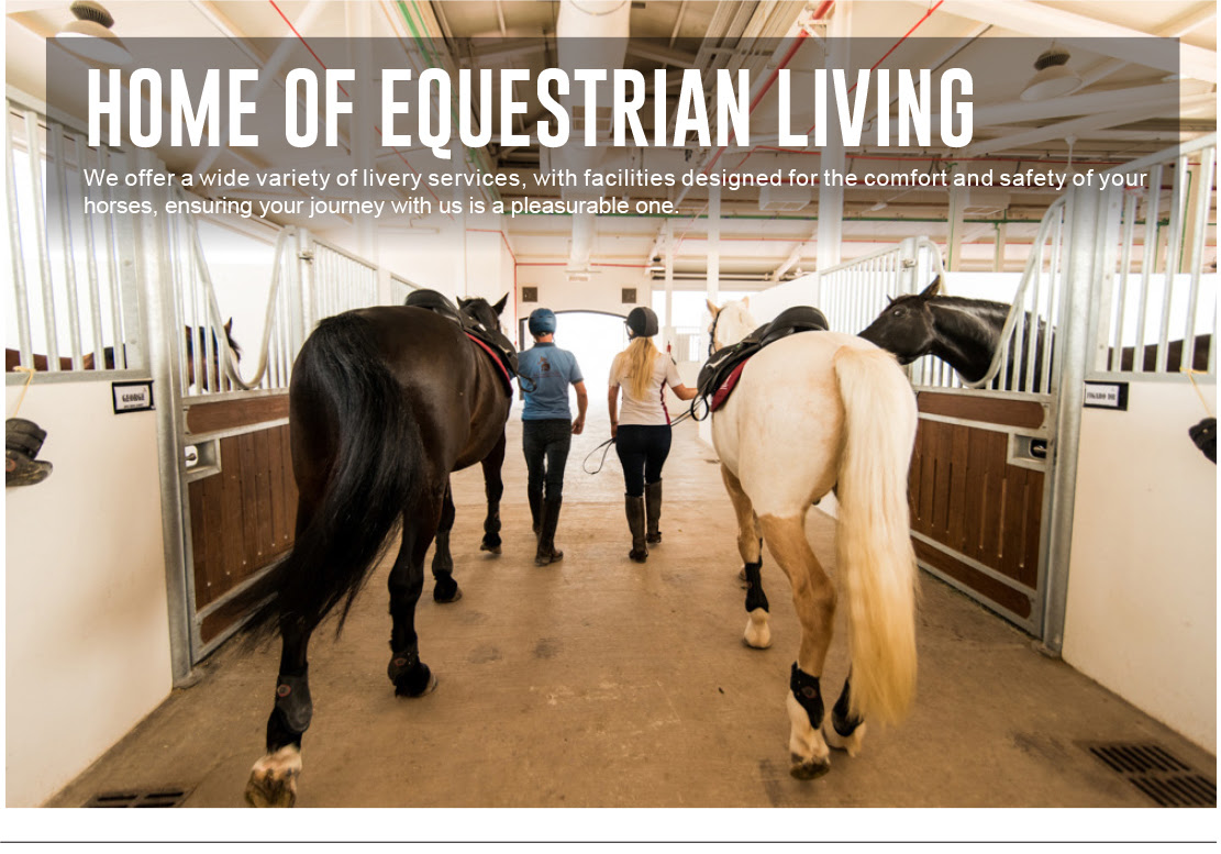 Habtoor Polo - Newsletter Sept 2018