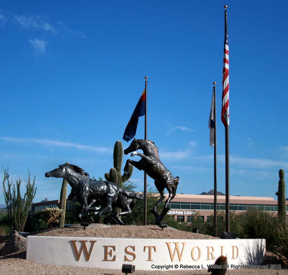 Off Field Scottsdale Polo 2012