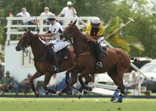 pacheco polo photos us open polo championship florida polo magazine faraway lechuza 2