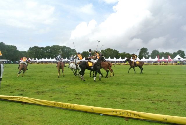 DSC 6653