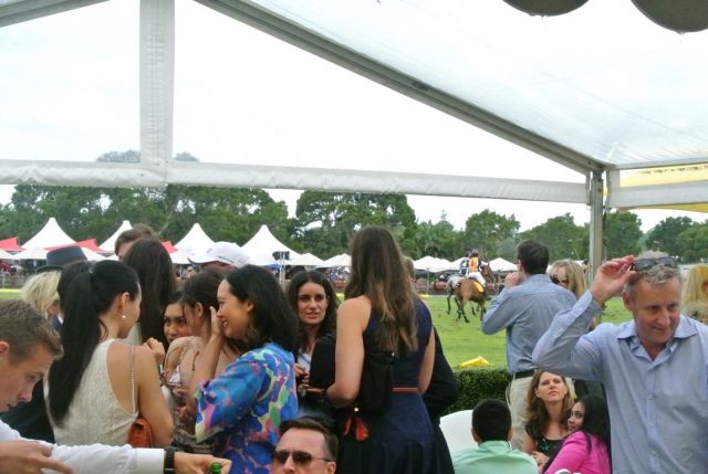 DSC 6696