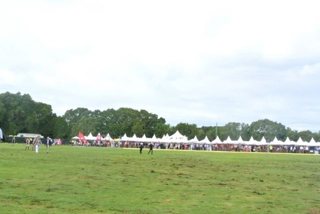 DSC 6975