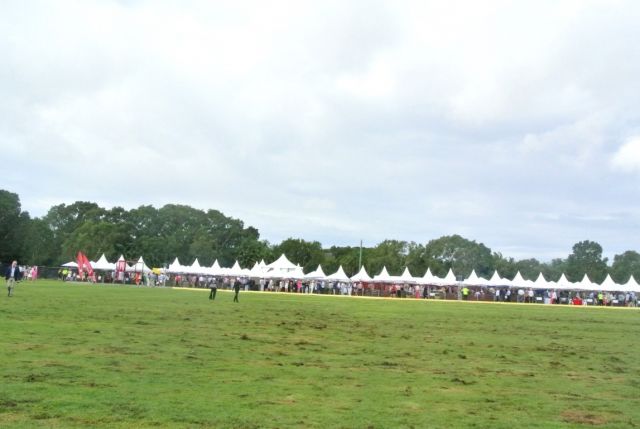 DSC 6977