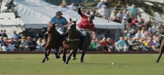 windsorcharitypolocup5 Custom